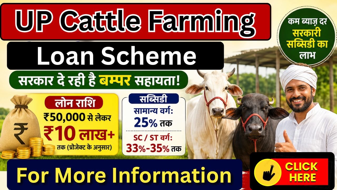 UP Cattle Farming Loan Scheme: गाय भैंस आप पालिए, लोन पर 33% Subsidy सरकार देगी