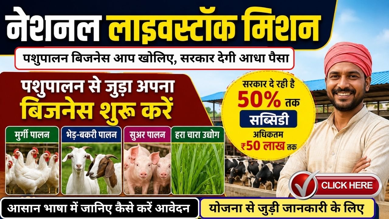 National Livestock Mission: पशुपालन बिजनेस आप खोलिए, सरकार देगी आधा पैसा, 50% तक की भारी सब्सिडी
